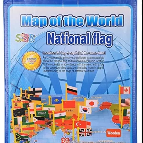 World Map Flag