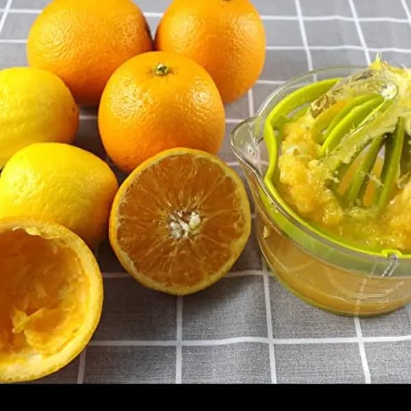 4in1 Juicer Manual Citrus Juicer